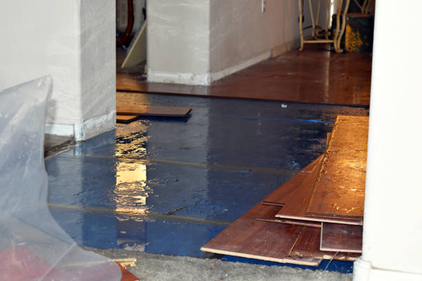 Professional Flood Damage Restoration technician working in Buhl, AL